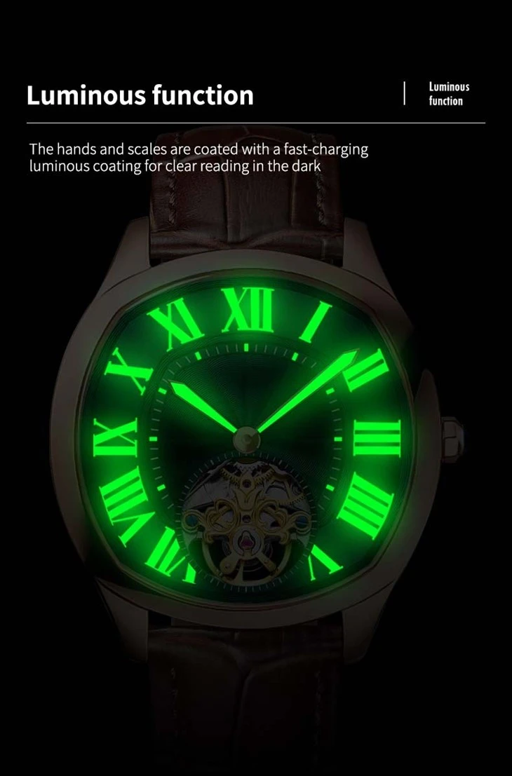 Tourbillon Mechanical Watches